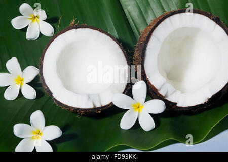 Frutti di noce di cocco e fiore nessuno Foto Stock