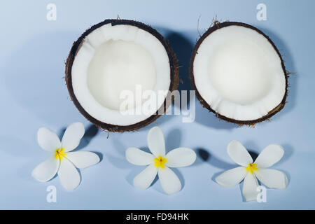 Frutti di noce di cocco e fiore nessuno Foto Stock