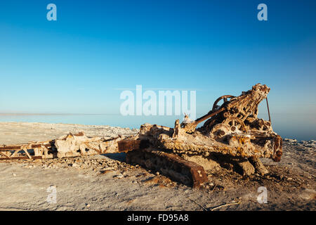 Sale-incrostati di rovine sulla spiaggia di Bombay, sulla riva orientale del Salton Sea, California Foto Stock