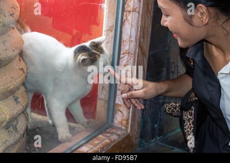 Bambina gioca con un gatto dietro una finestra di vetro in un tempio buddista Foto Stock