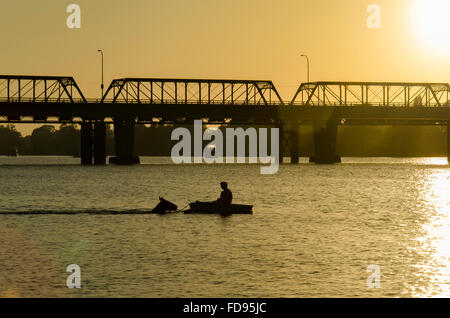 L'allenatore di cavalli Peter Doody fila un piccolo dingy mentre il suo cavallo da corsa Rainbow Fighter nuoterà dietro di lui vicino a Nowra Bridge nel fiume Shoalhaven, Australia Foto Stock