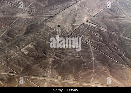 Condór e trapezi. Deserto di Nazca. Foto Stock