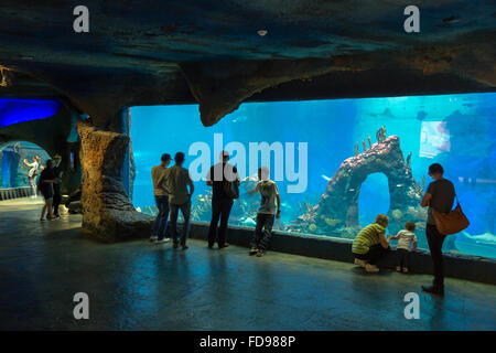 Wroclaw, Polonia, Acquario in Afrykarium a Wroclaw Zoo Foto Stock