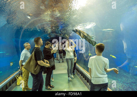 Wroclaw, Polonia, Acquario di fondo del Afrykarium a Wroclaw Zoo Foto Stock