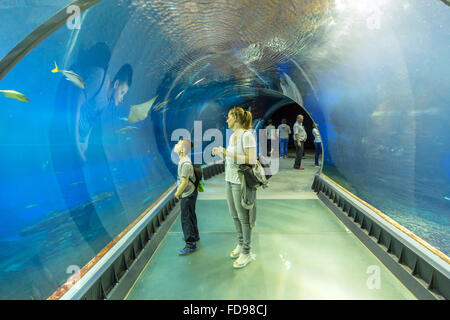 Wroclaw, Polonia, Acquario di fondo del Afrykarium a Wroclaw Zoo Foto Stock