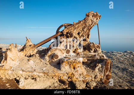 Sale-incrostati di rovine sulla spiaggia di Bombay, sulla riva orientale del Salton Sea, California Foto Stock