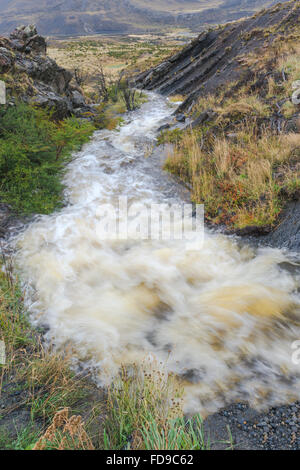 Stream, Parco Nazionale di Torres del Paine Patagonia cilena, Cile Foto Stock