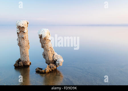 Sale-rimane incrostati di Bombay Beach, sulla riva orientale del Salton Sea, California Foto Stock