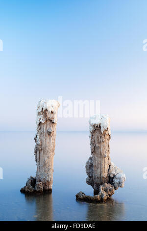 Sale-rimane incrostati di Bombay Beach, sulla riva orientale del Salton Sea, California Foto Stock