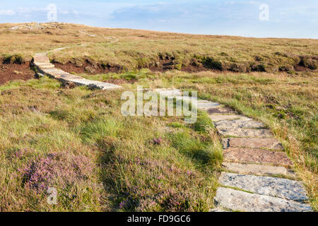 Sentiero lastricato in tutta la brughiera di proteggere il moro di erosione, Kinder Scout, Derbyshire, Parco Nazionale di Peak District, England, Regno Unito Foto Stock