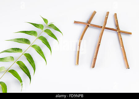 Herb Neem foglie Stick nessuno Foto Stock