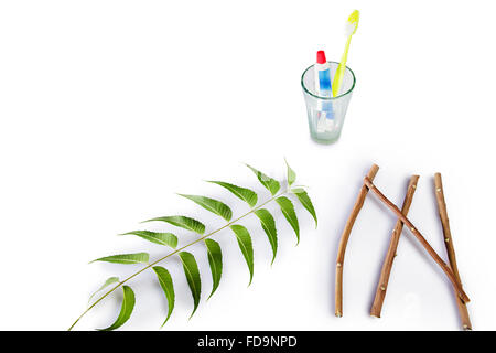 Herb Neem foglie stick e dentifricio nessuno Foto Stock