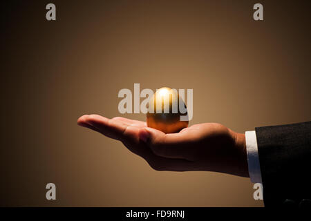 1 Adulto Uomo uovo Gold Palm che mostra Foto Stock