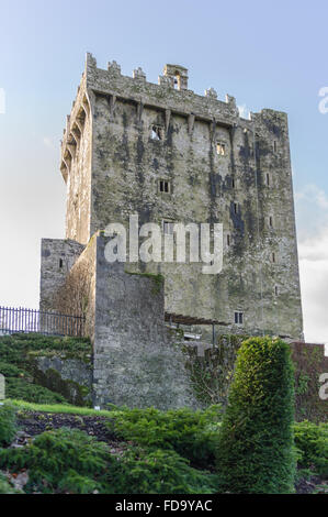 Il famoso Castello di Blarney, Blarney, Cork, Irlanda. Foto Stock