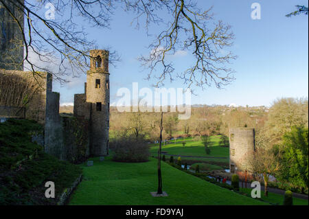 Una vista del Castello di Blarney e giardini, Cork, Irlanda. Foto Stock