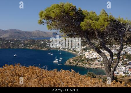 Bagno turco Pino (Pinus brutia) sulla cima di una collina sopra il porto Panteli e villaggio, LEROS, DODECANNESO isole, Grecia. Foto Stock