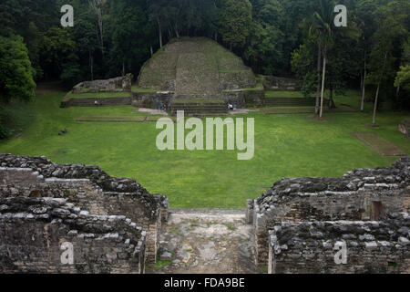 Vista del Tempio Piramide della città maya di Caracol, in Cayo, Belize Foto Stock