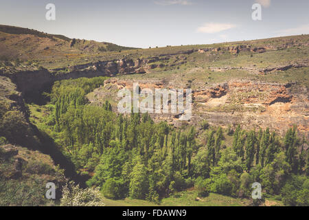 Duraton canyon parco naturale, Sepulveda, Spagna Foto Stock