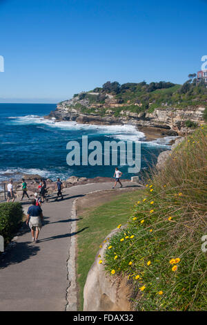 Walkers sul Bondi a Coogee passeggiata costiera coniugi Mackenzie punto in background sobborghi Orientali Sydney New South Wales NSW Australia Foto Stock