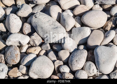 Di medie dimensioni luce attorno a spiovente sfondo pietre. Foto Stock