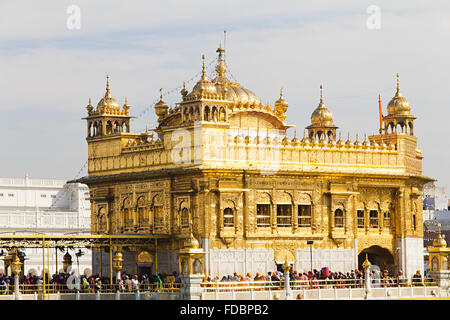 Gruppi o folle tempio d'Oro Amritsar Gurdwara Foto Stock