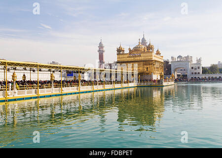 Gruppi o folle tempio d'Oro Amritsar Gurdwara Foto Stock