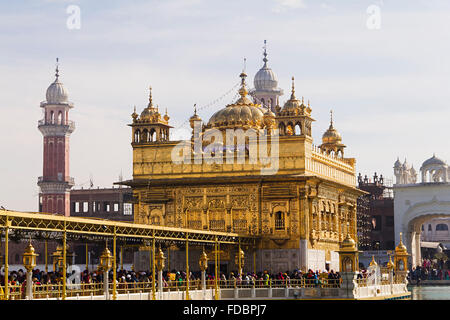 Gruppi o folle tempio d'Oro Amritsar Gurdwara Foto Stock