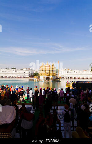 Gruppi o folle tempio d'Oro Amritsar Gurdwara Foto Stock