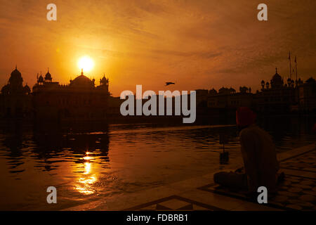 1 uomo adulto Sardar tempio d'Oro Amritsar Gurdwara piano di seduta Foto Stock