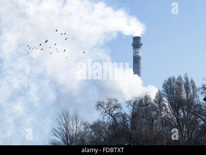 Volo uccelli neri su uno sfondo di camini di fabbrica Foto Stock