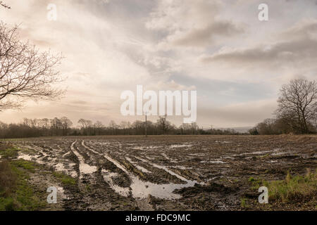 Acqua i campi di login Foto Stock