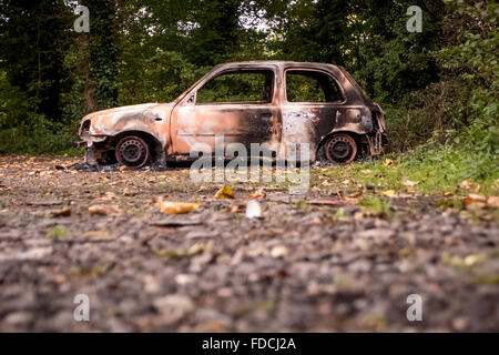 Un bruciate le auto rubate nei boschi vicino a Brighton, East Sussex. Foto Stock