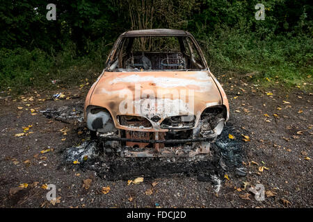 Un bruciate le auto rubate nei boschi vicino a Brighton, East Sussex. Foto Stock