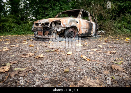 Un bruciate le auto rubate nei boschi vicino a Brighton, East Sussex. Foto Stock