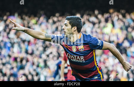 Barcellona, in Catalogna, Spagna. 30 gen, 2016. FC Barcelona avanti SUAREZ celebra il suo obiettivo durante il BBVA league contro Athletic Club allo stadio Camp Nou a Barcellona Credito: Matthias Oesterle/ZUMA filo/Alamy Live News Foto Stock