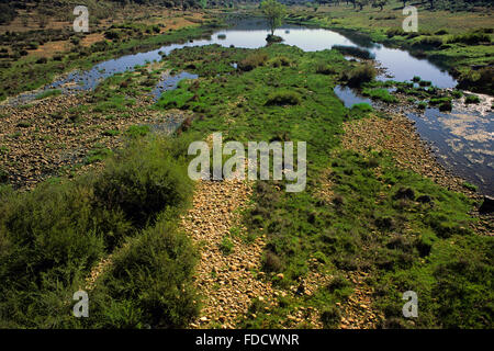 Almonte (fiume affluente del fiume Tago), Monfrague National Park, Estremadura, Spagna Foto Stock