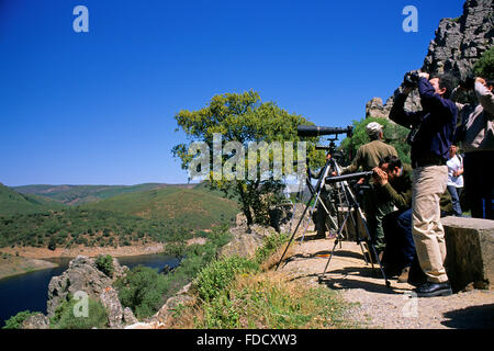 Gli amanti del birdwatching e natura fotografi vicino al fiume Tago, Monfrague National Park, Estremadura, Spagna Foto Stock