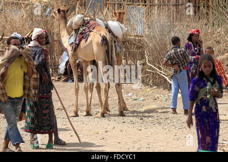 SENBETE, ETIOPIA-marzo 24: Camel pastori del popolo Afar frequentare il mercato della domenica dove la oromo-amhara-lontano i popoli incontrano Foto Stock