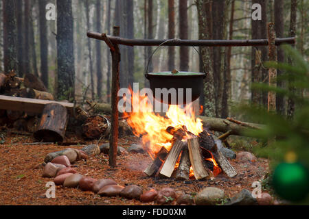 Punto di ebollizione nel bosco Foto Stock