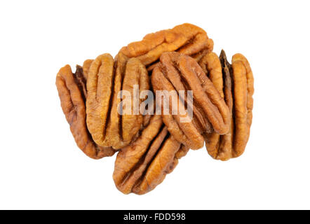 Noci Pecan, noto anche come Hicory dadi. Foto Stock