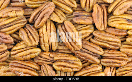 Decorticate noci pecan, noto anche come Hicory dadi. Foto Stock