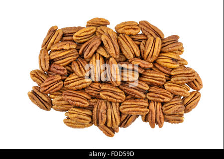 Noci Pecan, noto anche come Hicory dadi. Foto Stock