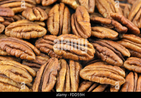 Decorticate noci pecan, noto anche come Hicory dadi. Foto Stock