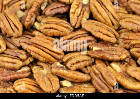 Decorticate noci pecan, noto anche come Hicory dadi. Foto Stock