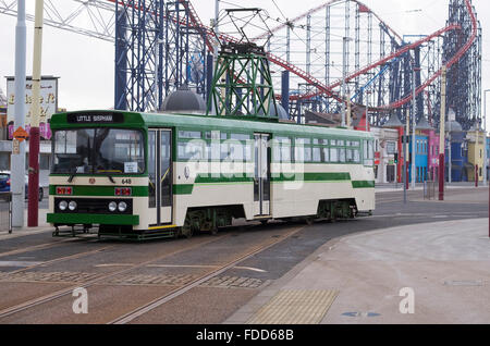 Blackpool tram d'epoca flotta in servizio lungo la Promenade di Blackpool, Lancs Foto Stock