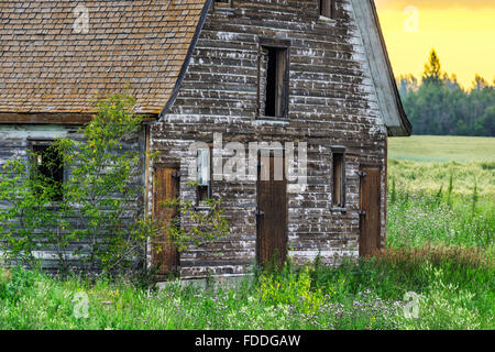 Fienile Rustico all'alba, Alberta Foto Stock