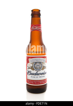 Aprire una bottiglia di birra Budweiser su sfondo bianco Foto Stock