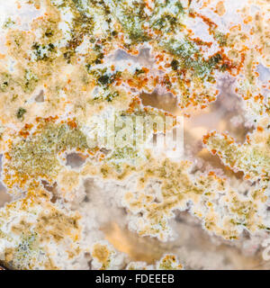 Pietra naturale sfondo quadrato - Moss Agata pietra preziosa close up Foto Stock