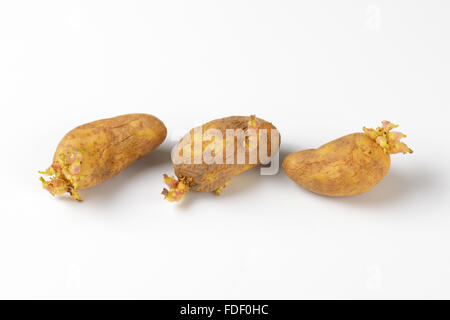 Tre Vecchi la germogliazione di patate su sfondo bianco Foto Stock