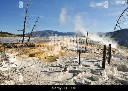 Mammoth Hot Springs nel Parco Nazionale di Yellowstone Foto Stock